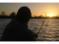 Korda Kurv Shank Size 2 Barbless