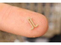 Korda Extenda Stops large