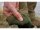 Korda Polar Kombats Dark Olive M