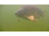 PB Products DT Heli-Chod Buffer Hood 8,5cm Silt 3 Stk