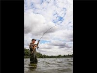 Fox Horizon X4 12ft 3lb Cork handle
