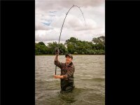 Fox Horizon X4 13ft 3.5lb Abbr handle