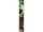 Korda Krank Rig Size 8