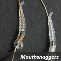 Carp´R´Us Mouthsnagger Dragonfly Larve