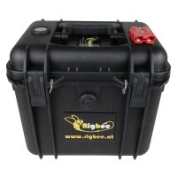 Rigbee MaxBeePower Akkubox 12V50Ah LiFePo4