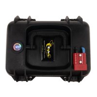 Rigbee MaxBeePower Akkubox 12V50Ah LiFePo4