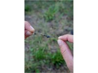 Carpleads Real Tungsten Drops  large