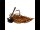 Zeck Skirted Jig Brown 4/0