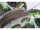 Korda N-TRAP soft silt 15lb
