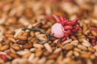 Korda High Grip Hook Bead Large