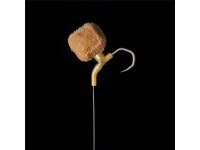 Nash Floating Dog Biscuit