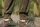 Korda Ultralite Joggers Olive XXL