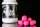 Black Label Baits Mini UV -Dumbell Pop Up- pink glitter
