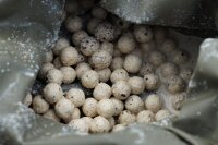 Black Label Baits Milky Way 0,5kg