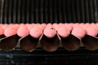 Forgotten Flavours Squid Pop-Ups 12mm