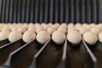 Forgotten Flavours Nutty Maple Pop-Ups 12mm