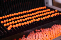 Forgotten Flavours Peach Pop-Ups orange 15mm