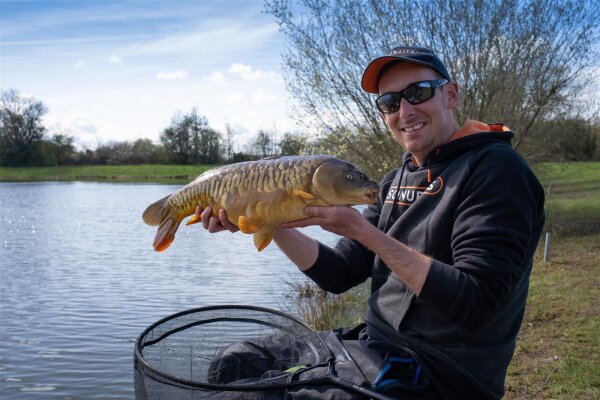 Sonubaits Power Scopex Supercrush - 2Kg