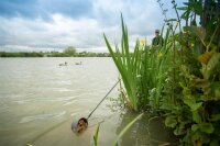 Sonubaits Krill & Squid Supercrush - 2Kg