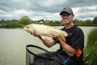 Sonubaits Krill & Squid Supercrush - 2Kg