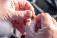 Sonubaits Pro Hookable Expander - F1