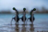 Korda Kaizen Green 12ft 4lb