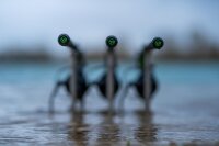 Korda Kaizen Green 10ft 3lb C