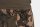 Fox LW Camo Jogger Short large
