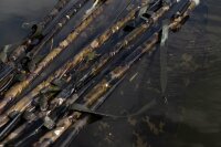 Korda Compac Retainer Sling Dark Kamo