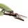 Ridge Monkey Nite Glo Heavy Duty Snips