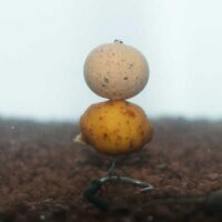 Baitservice Straubing Pop Up Tiger Drops 16mm - 20mm