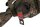 Fox Camolite 12ft 2 rod Spod/Marker Rod Jackets