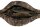 Fox Camolite  8-10ft Retractable Tri Sleeve
