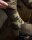 Korda Kore Camouflage Waterproof Socks