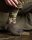 Korda Kore Camouflage Waterproof Socks UK 10-12 / EU 44-46