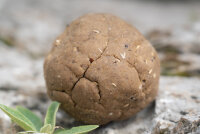 Naturebaits Boilieteig Dosenmais