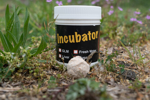 Naturebaits Incubator