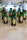 Monkey Climber Secret Stash Hookbait Juices / Exclusive Blends Green Bottles 50ml Roddy Blend