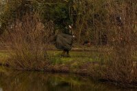 Trakker NXG Bedchair Bag