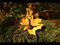 Poseidon Angelsport Easy Slide Backlead camo brown 21gr