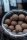 Supreme Baits Supreme Wafter Fish 24mm