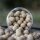 Supreme Baits Supreme Wafter Rambazamba 24mm