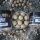 Supreme Baits Supreme Wafter Rambazamba 24mm