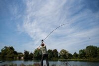 Sportex Specimen CS-2 12ft (Kork)