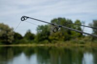 Sportex Specimen CS-2 12ft (Kork)