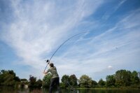 Sportex Triumph Contest 13"