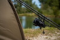 Sportex Triumph Contest 13"