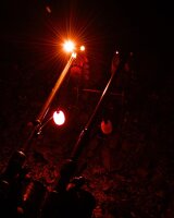 Fox Black Label Dumpy Halo Bobbin - ORANGE