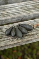 Fox Edges Heli Lead Distance 3.5oz / 100g