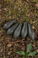 Fox Edges Heli Lead Distance 4oz / 113g